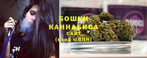 прущие грибы Коряжма